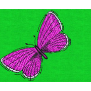 Embroidery Digitizing Free Download : 03727INT